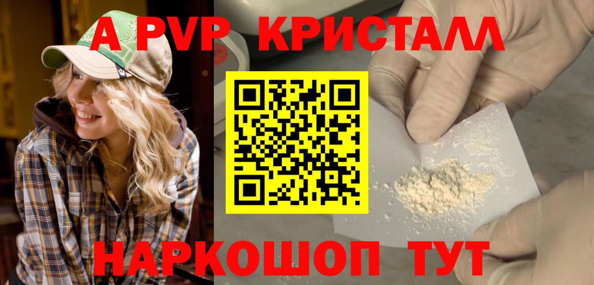 Альфа ПВП СК Санкт-Петербург