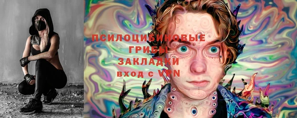 apvp Татарск