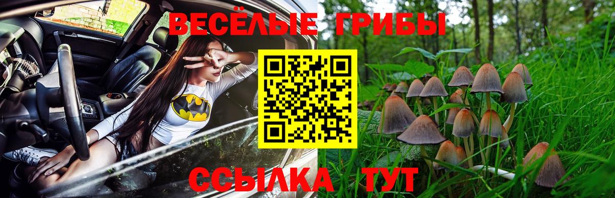 Псилоцибиновые грибы мицелий  Галлюциногенные грибы Psilocybe  купить закладку  Вход с VPN  Санкт-Петербург 