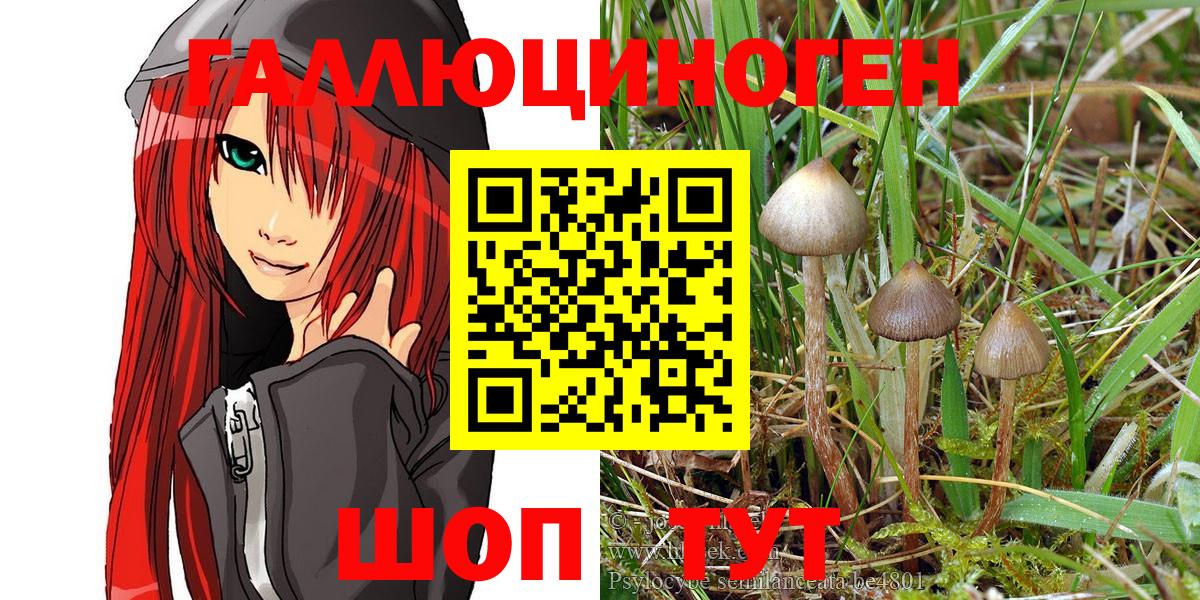 Псилоцибиновые грибы MAGIC MUSHROOMS Санкт-Петербург