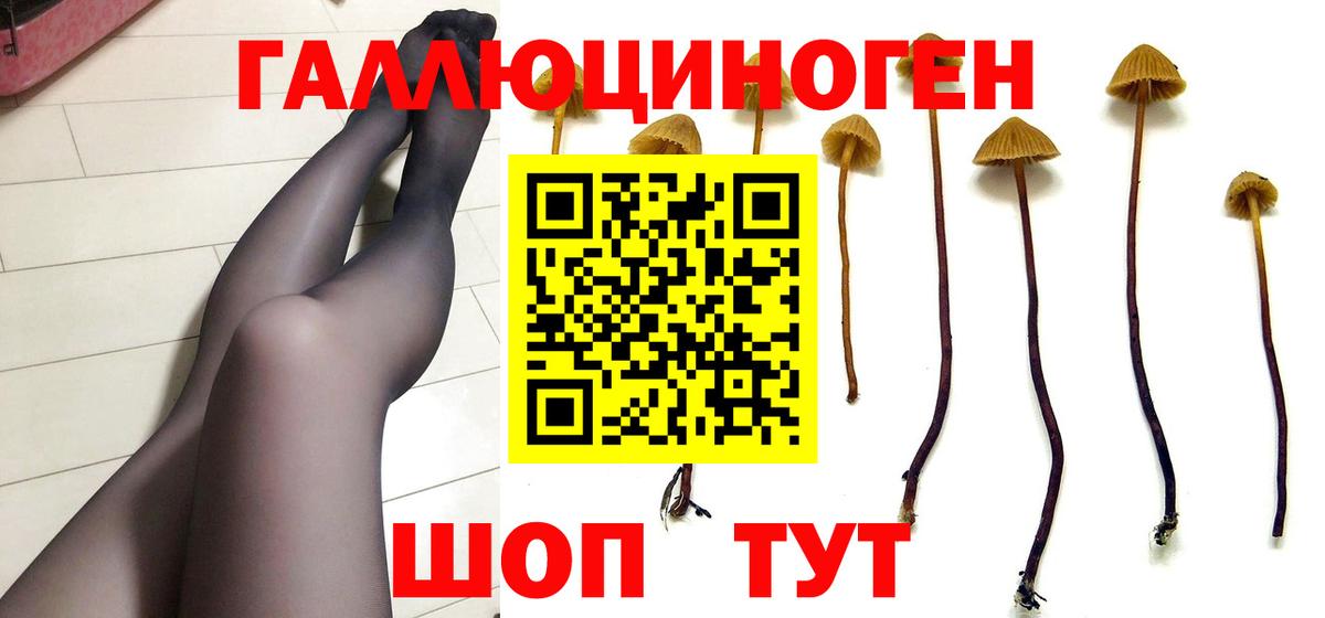 Галлюциногенные грибы MAGIC MUSHROOMS Санкт-Петербург